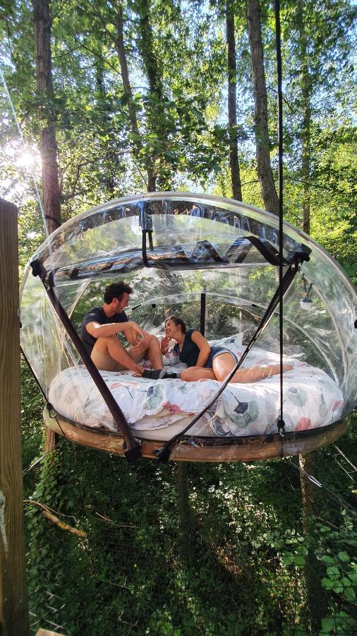 Les Bulles De La Maison Du Rocher Noisy-sur-Ecole Kültér fotó