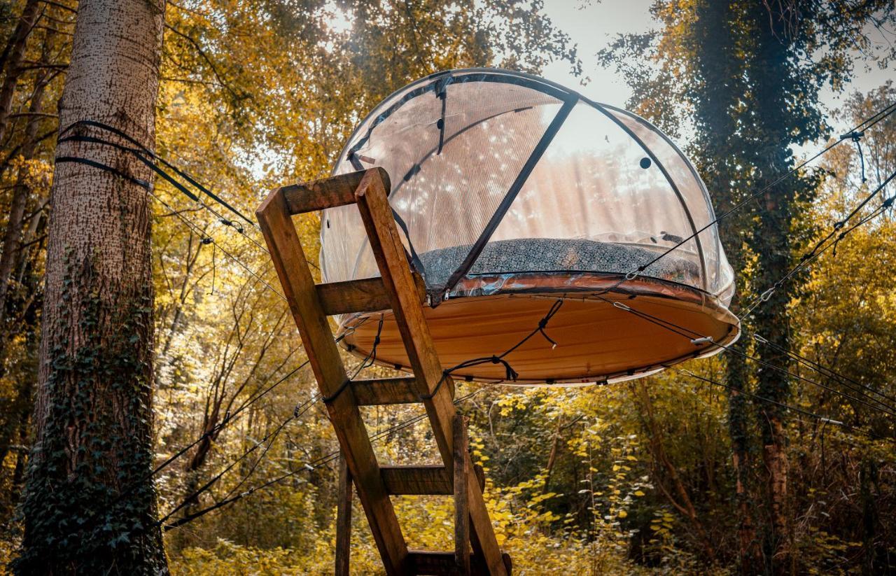 Les Bulles De La Maison Du Rocher Noisy-sur-Ecole Kültér fotó